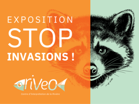 Ill. Die Ausstellung "STOP INVASIONS!" von RIVEO