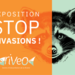 L'exposition "STOP INVASIONS !" de RIVEO